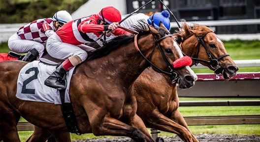 William Hill Ireland takes over Punchestown